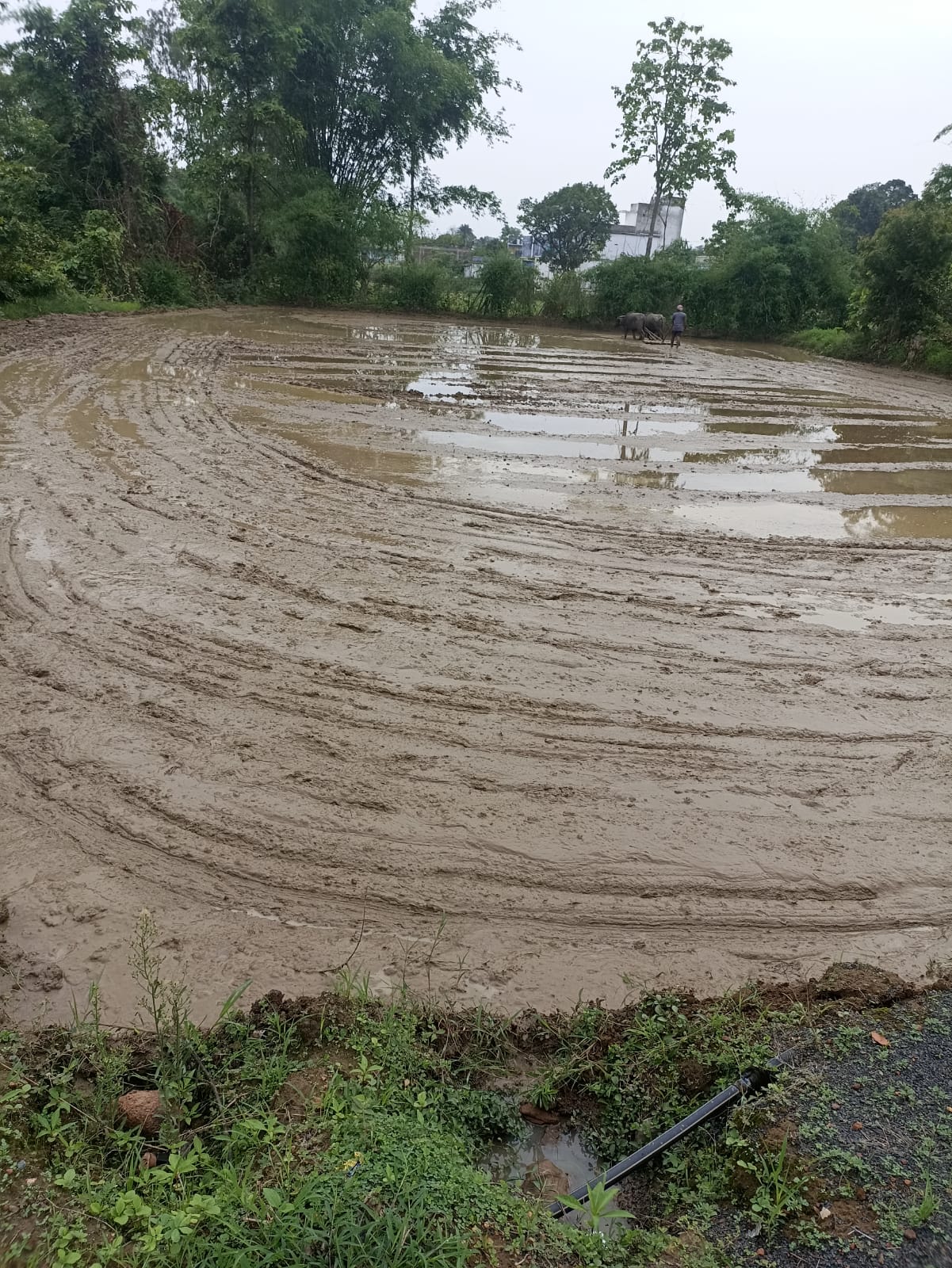 Farming Practical Development